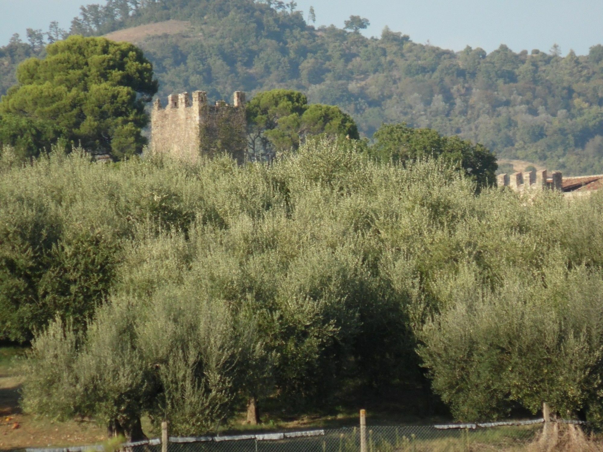 Podere Caldaruccio La Pineta Pérouse Extérieur photo